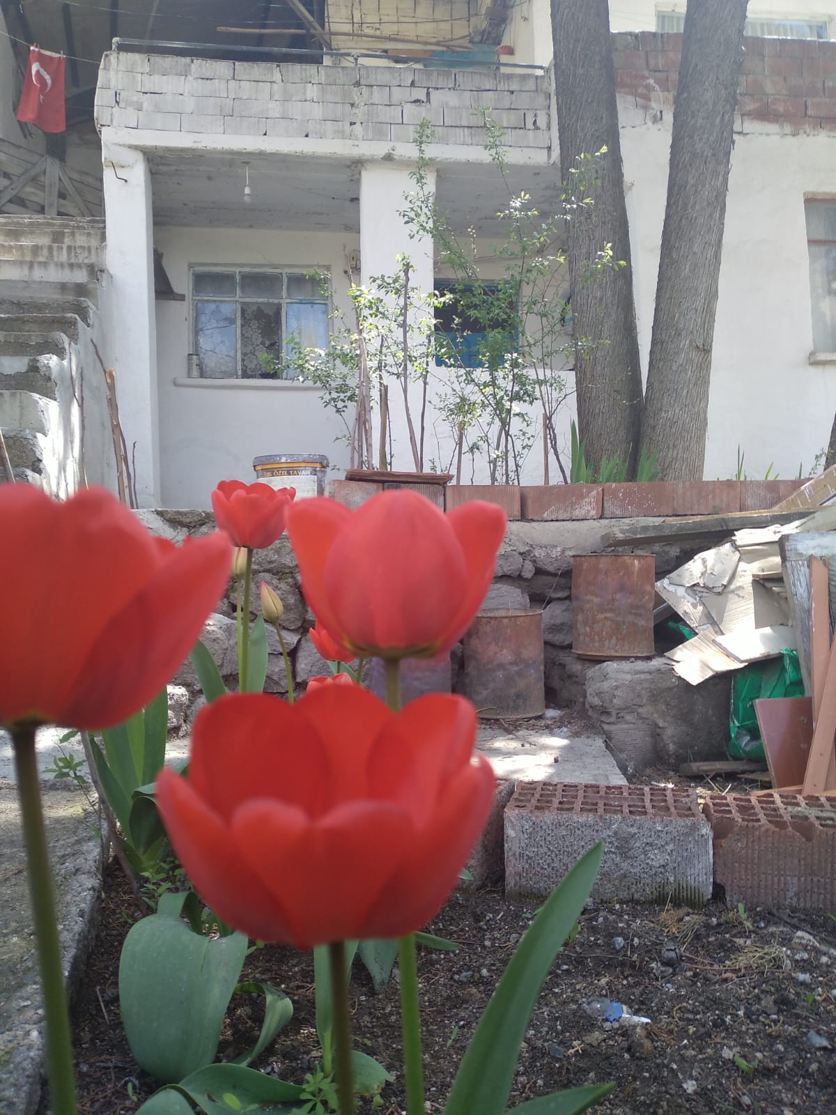 Kışa Doğru Mahalle Yolları ve Ağaçlar