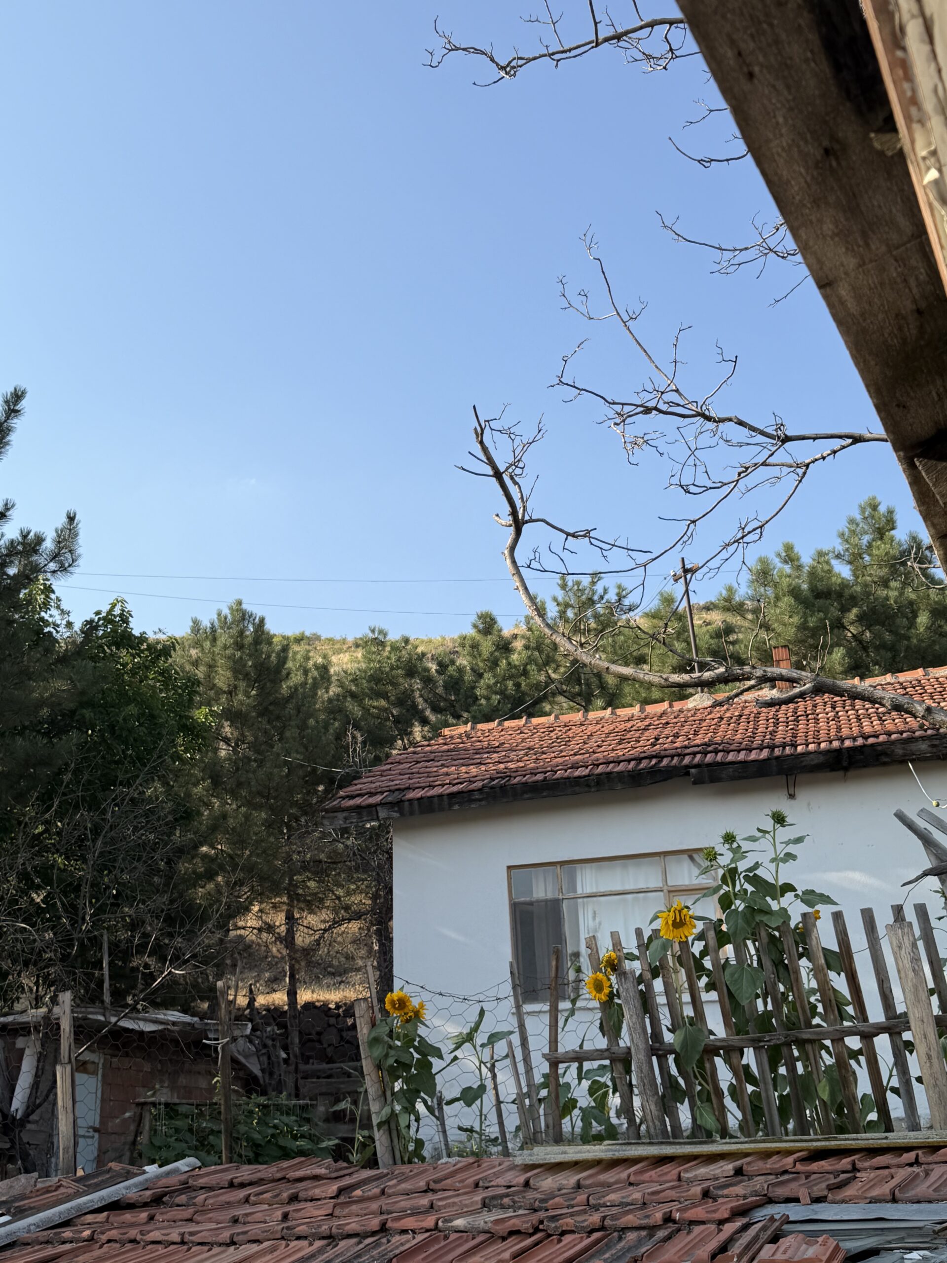 Makbule K. Arşivinden Mahalle Evi ve Yaşam Alanı (3)
